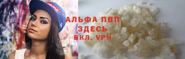 СК Аркадак