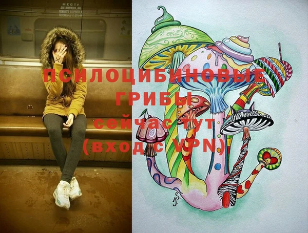 ECSTASY Балабаново